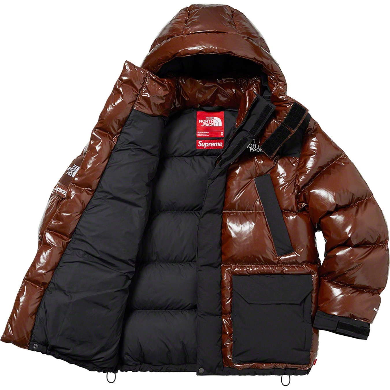 Supreme®/The North Face® 700-Fill Down Parka view 4
